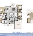 Magnolia -
