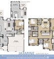 Jasmine -
