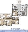 Nandina -